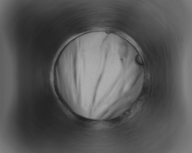 X0000100960811200807151357