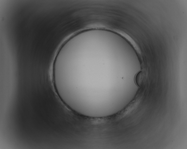 X0000100960815200807151357