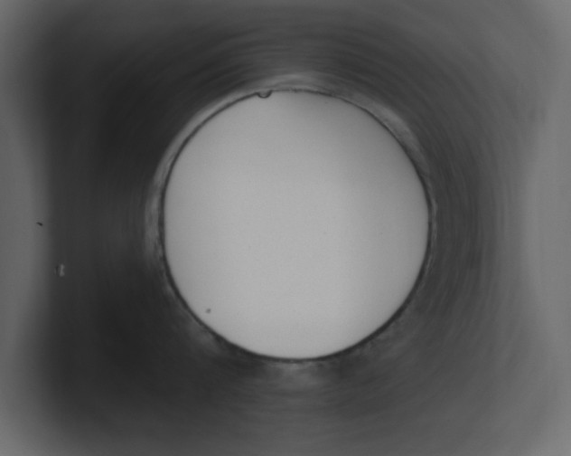 X0000100960816200807151357