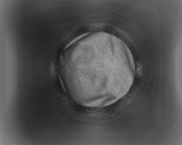 X0000100960819200807151356