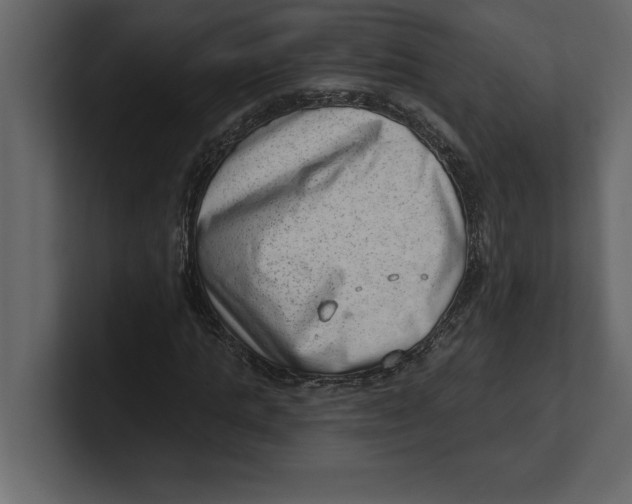 X0000100960821200807151356