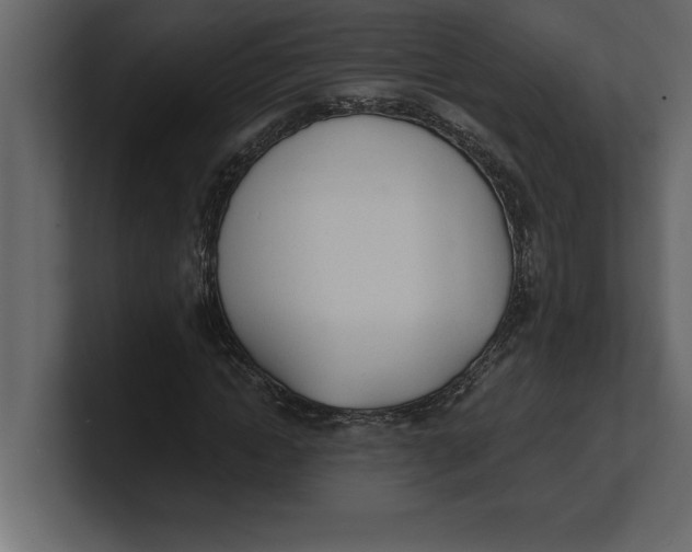 X0000100960822200807151356