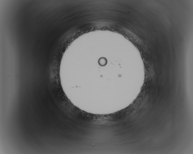 X0000100960824200807151356