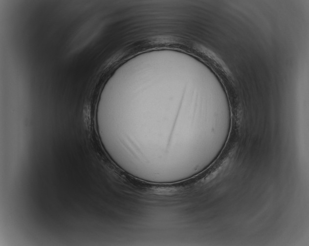 X0000100960825200807151356