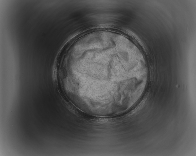 X0000100960827200807151356