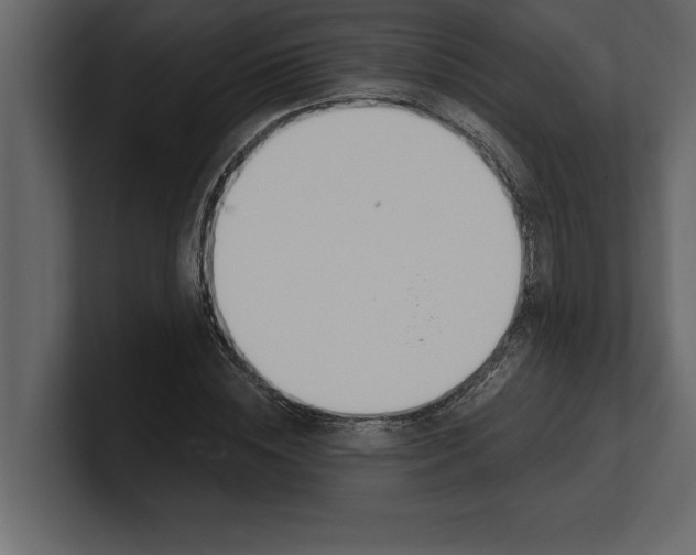 X0000100960828200807151356