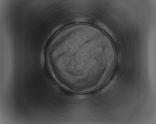 X0000100960829200807151356