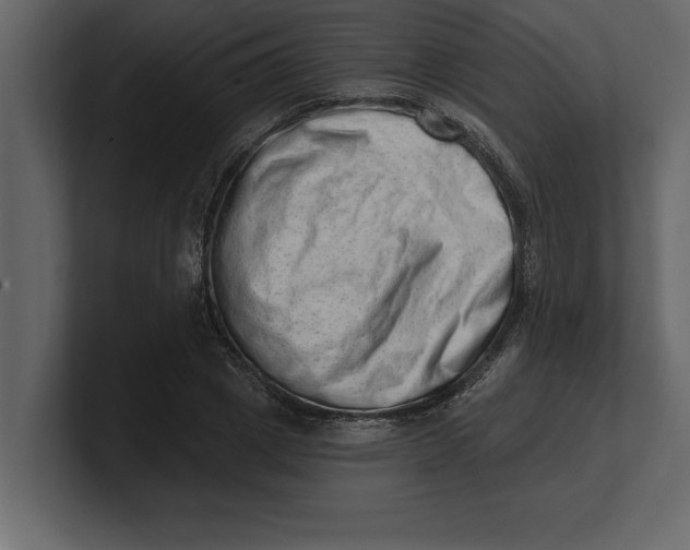 X0000100960833200807151356