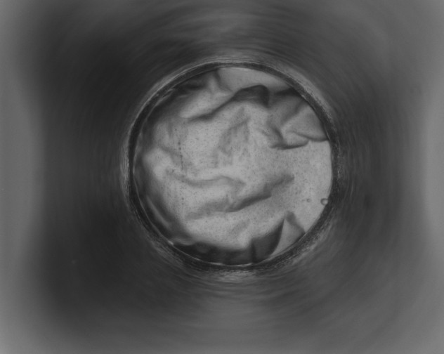 X0000100960837200807151356