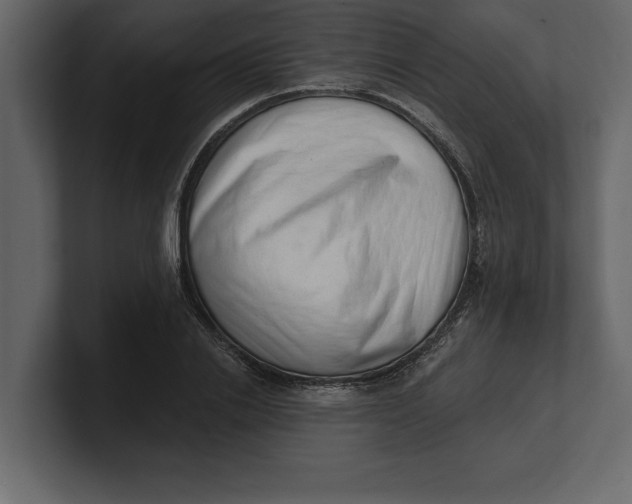 X0000100960838200807151356