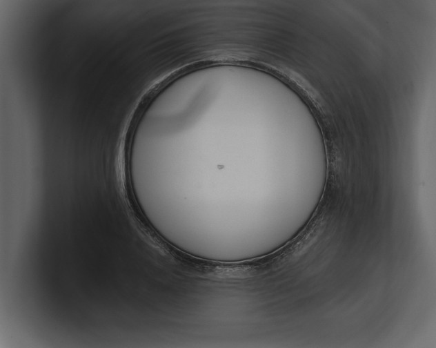 X0000100960840200807151356