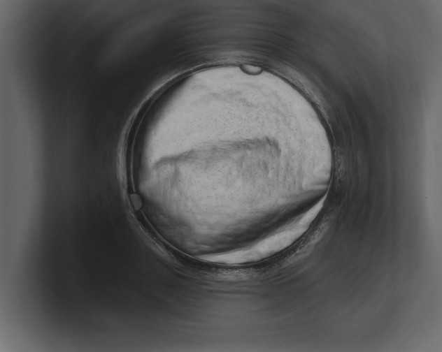 X0000100960843200807151356