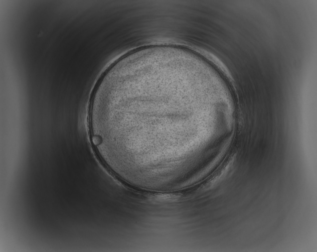 X0000100960847200807151357