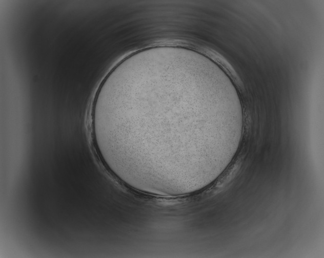 X0000100960852200807151357