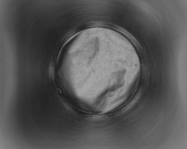 X0000100960857200807151357