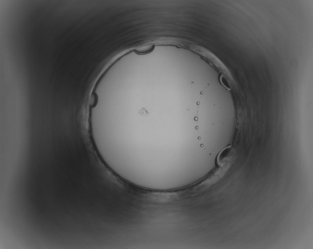 X0000100960860200807151357