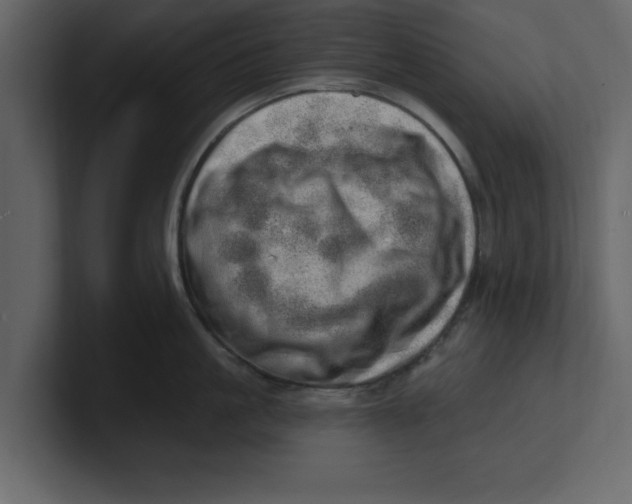 X0000100960861200807151357