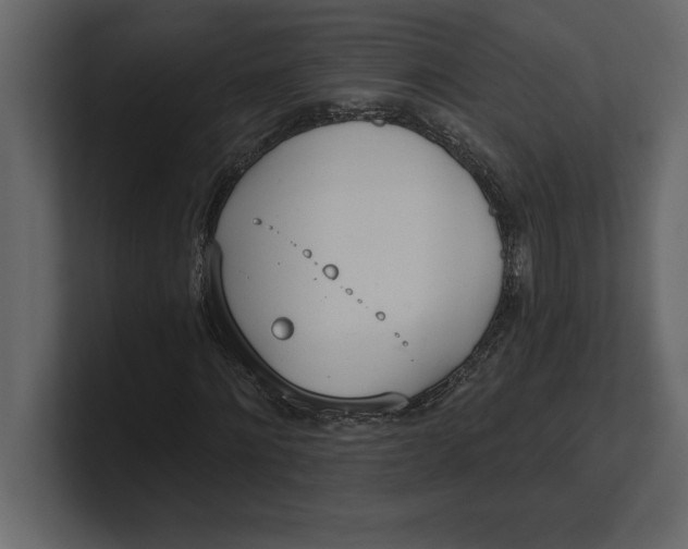 X0000100960868200807151356