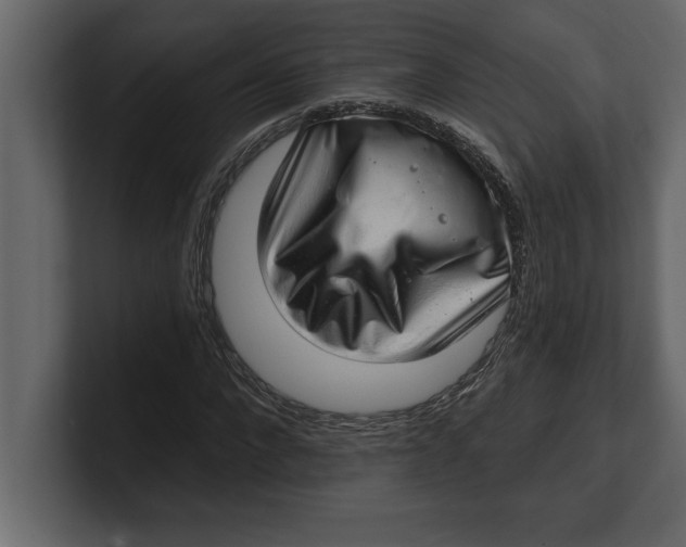 X0000100960872200807151356