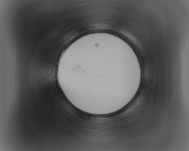 X0000100960873200807151356