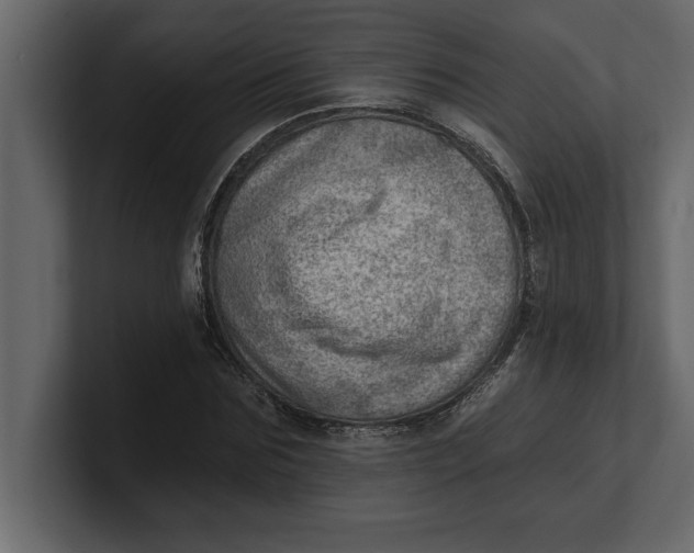 X0000100960875200807151356