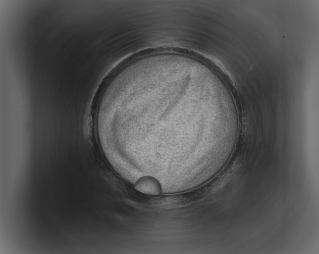 X0000100960879200807151356