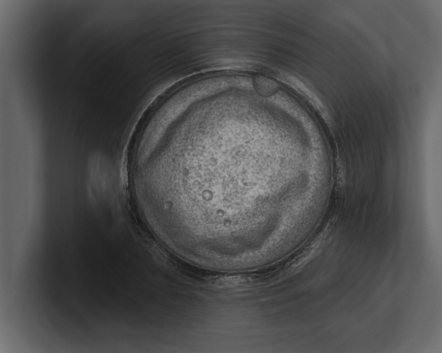 X0000100960883200807151356