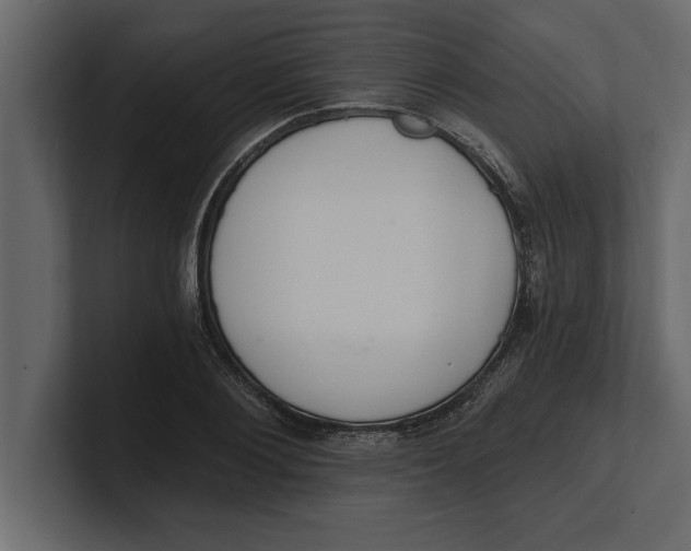 X0000100960884200807151356