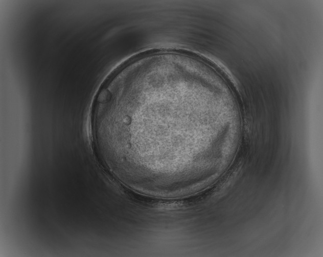 X0000100960887200807151356