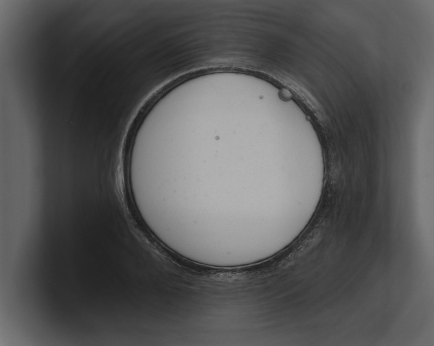 X0000100960888200807151356