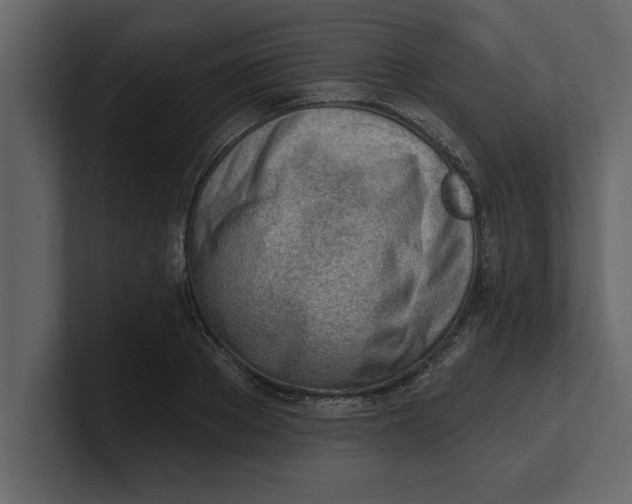 X0000100960889200807151356