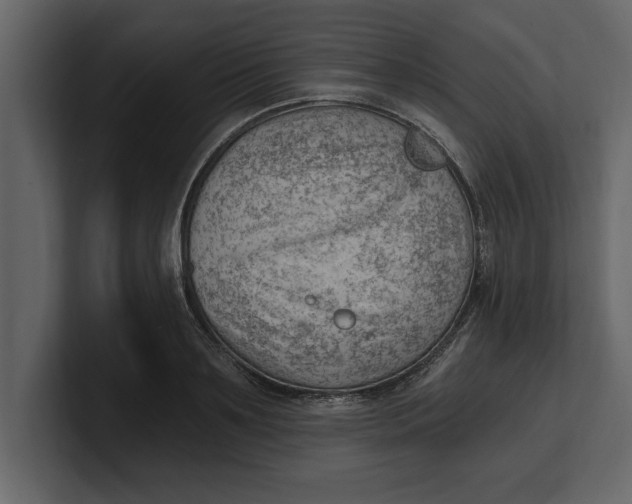 X0000100960891200807151356