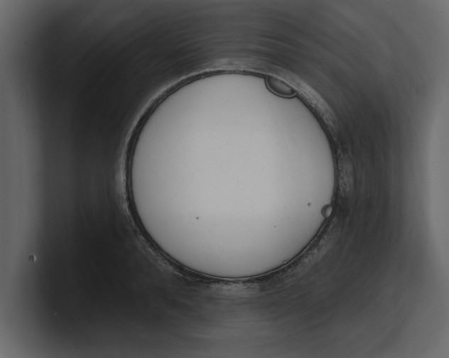 X0000100960896200807151356