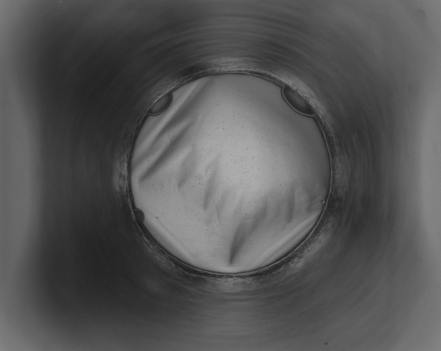 X0000100960897200807151356