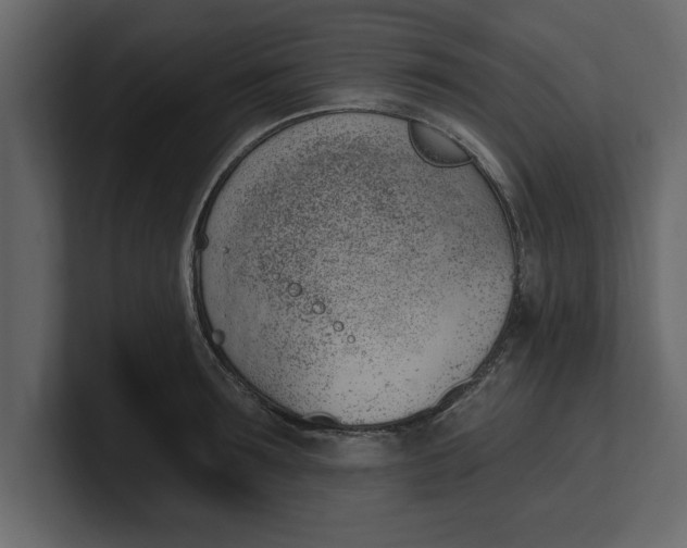 X0000100960899200807151356