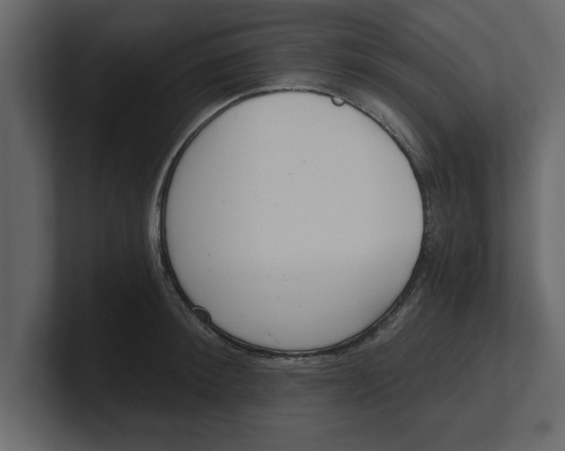 X0000100960900200807151356