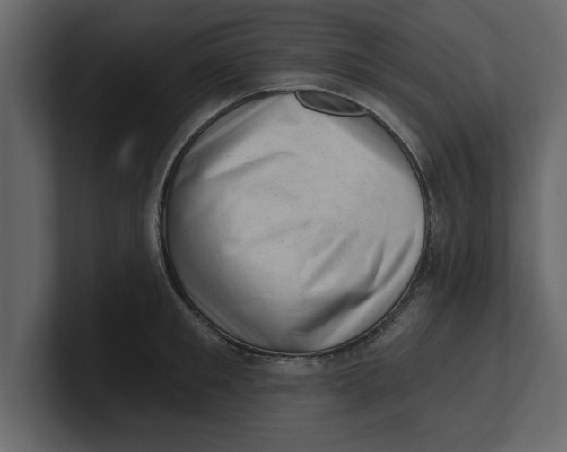 X0000100960901200807151356