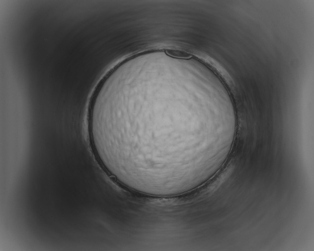 X0000100960902200807151356