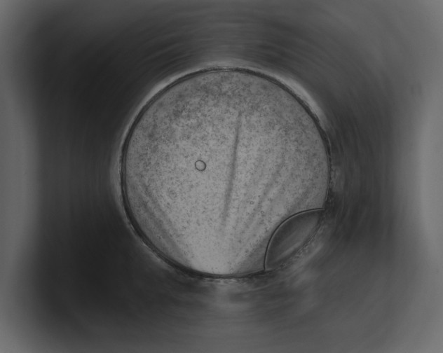 X0000100960903200807151356