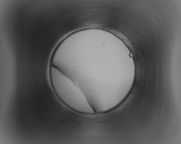 X0000100960904200807151355