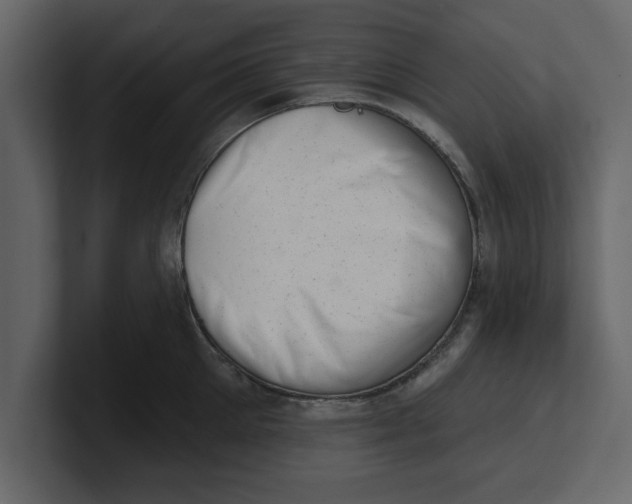 X0000100960905200807151355