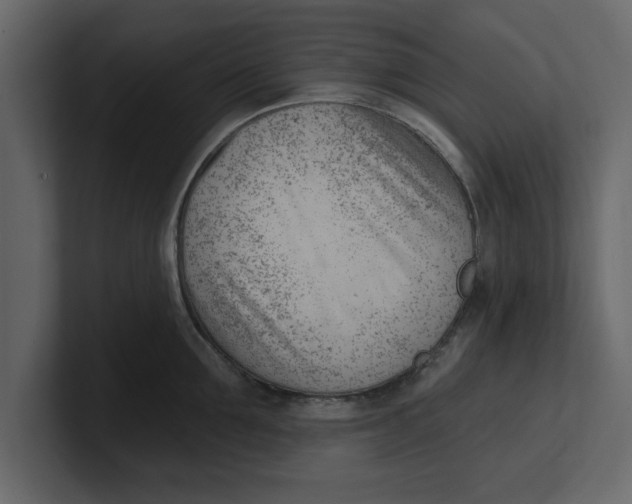 X0000100960907200807151355