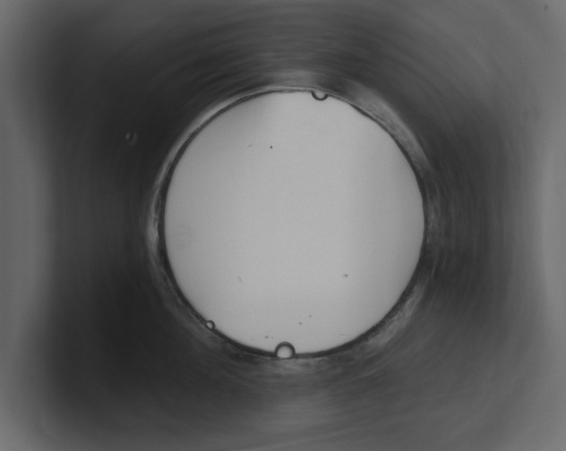 X0000100960908200807151355