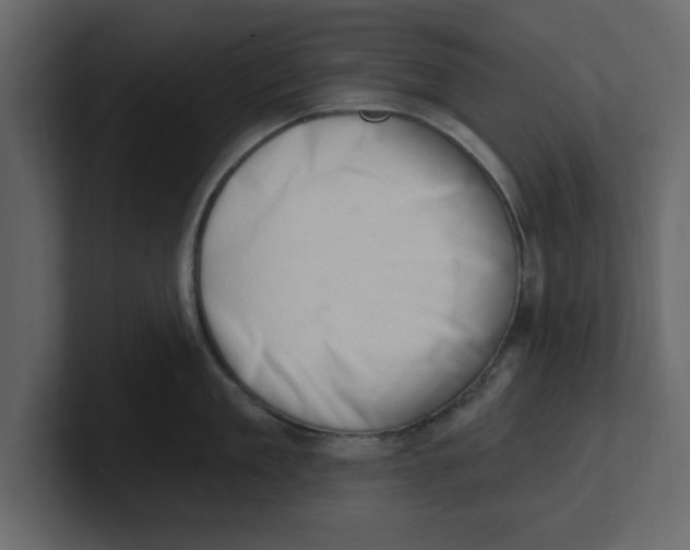 X0000100960909200807151355