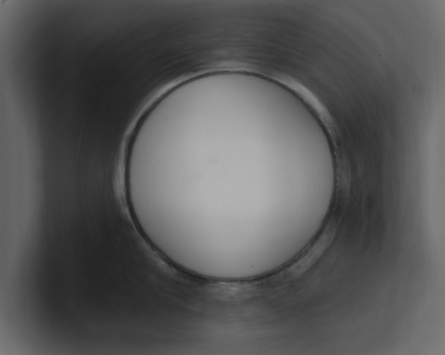 X0000100960910200807151355