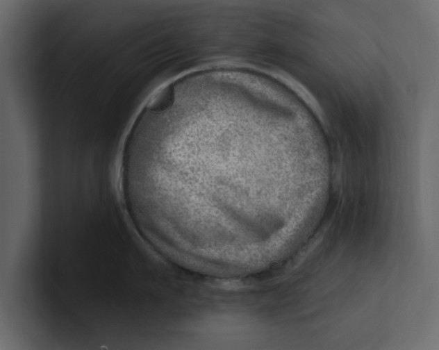 X0000100960911200807151355