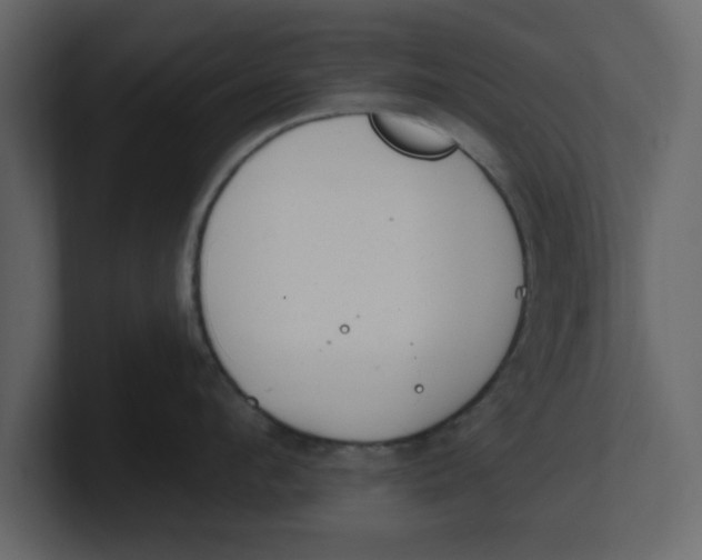 X0000100960912200807151355