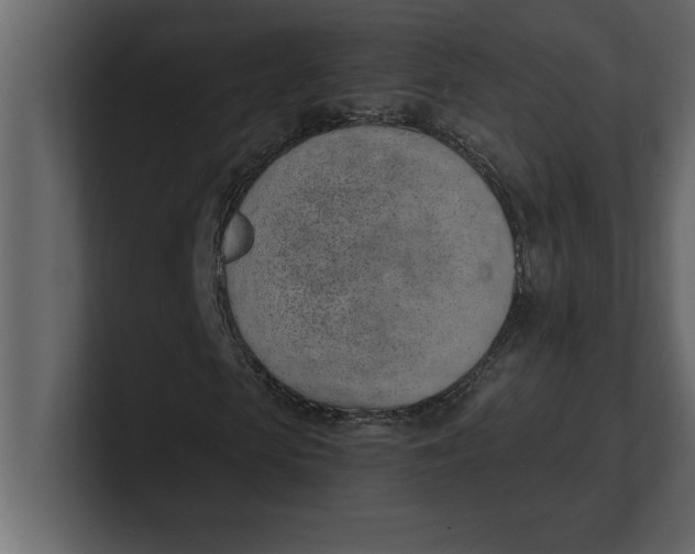 X0000100960913200807151355