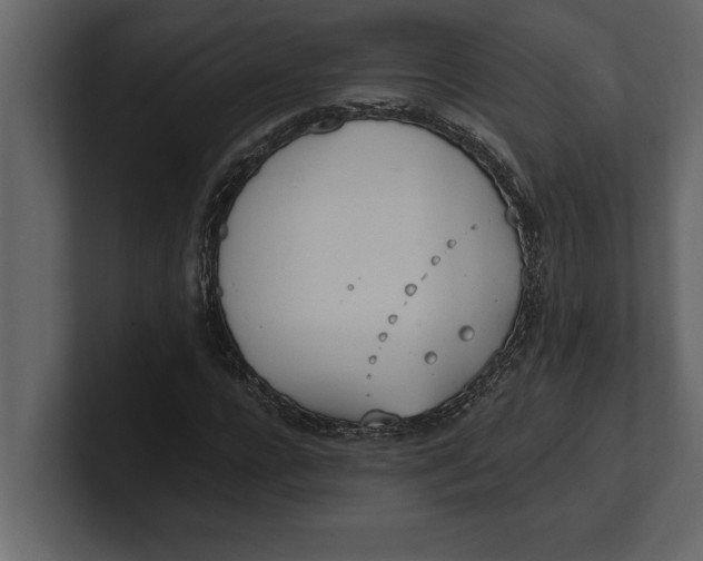 X0000100960920200807151355