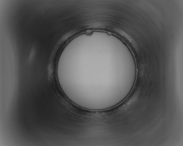 X0000100960922200807151355